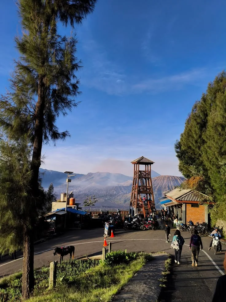 Private Trip Bromo Sunrise 3